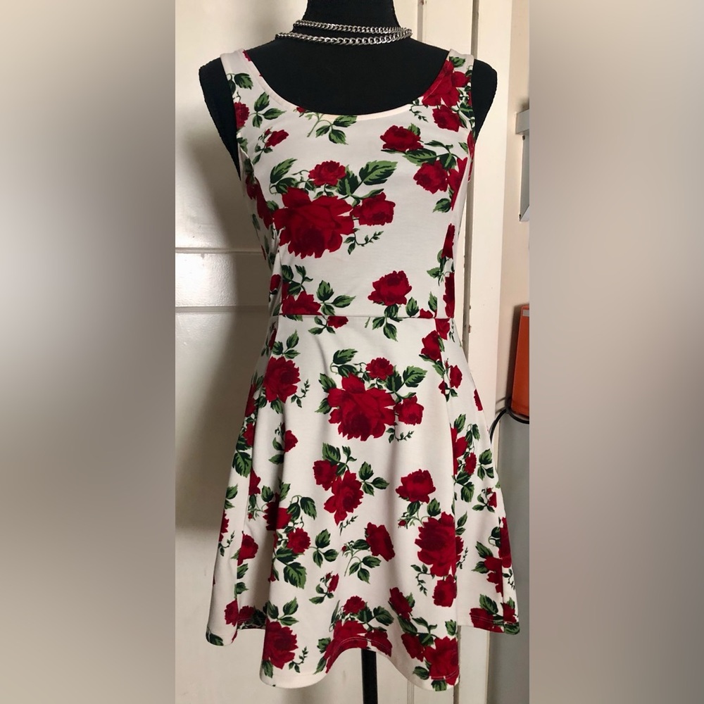 EUC: Floral Red and White Dress